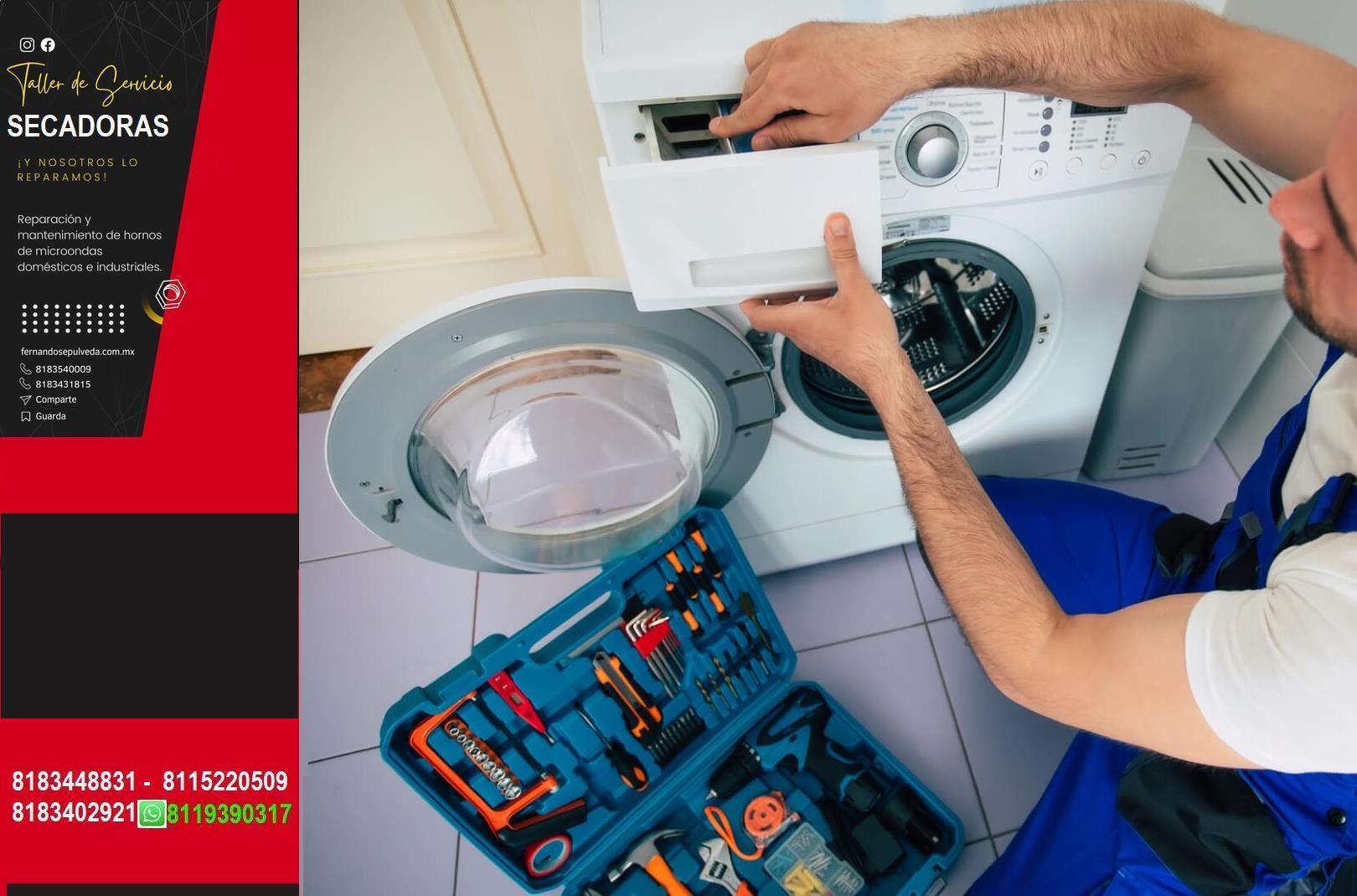 BLOG SECADORA25365522.JPG
