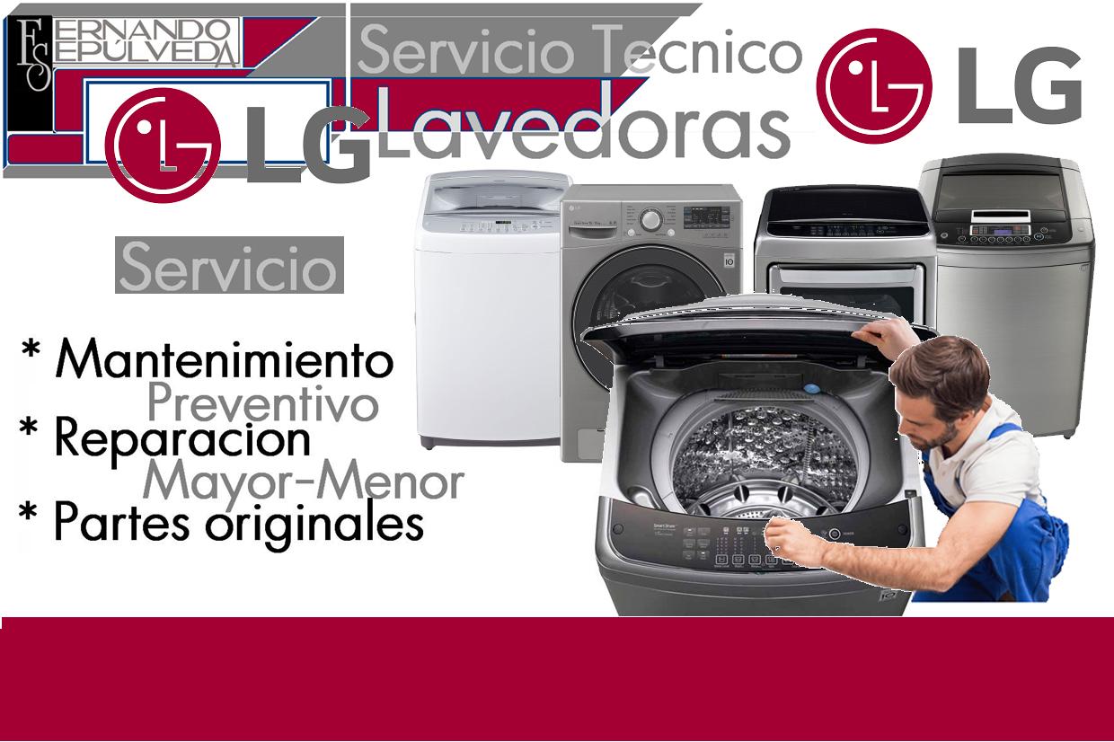 LG SER TEC.JPG