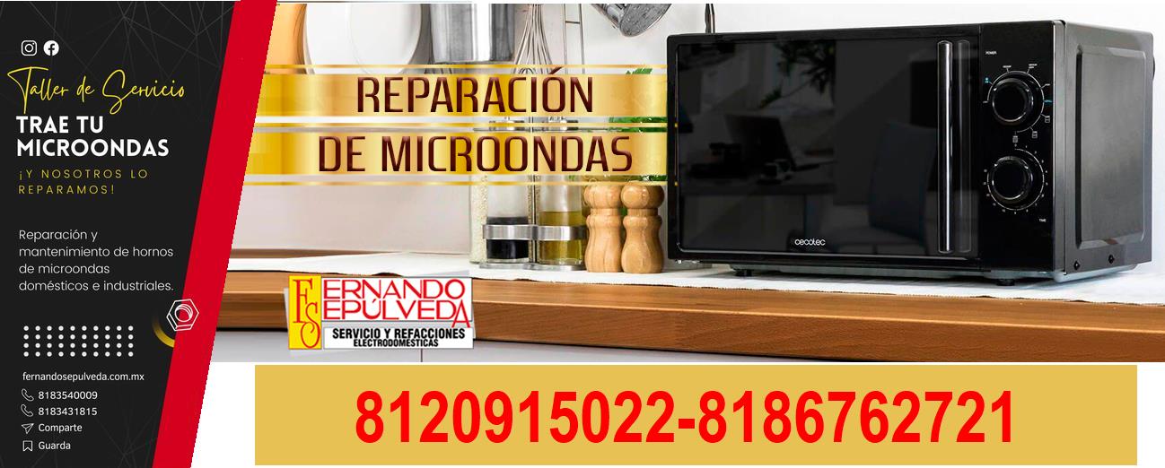 MICROONDAS222.JPG