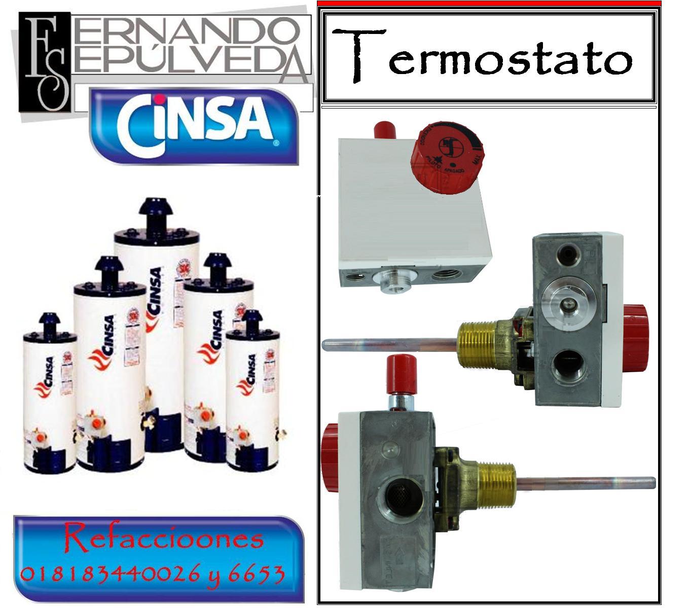 termo cinsa 3.JPG